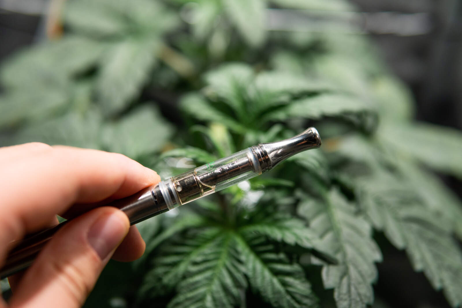 What is a THC Vape Pen and How Do You Use It? | UpLift